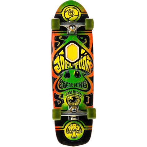 joel tudor sector 9